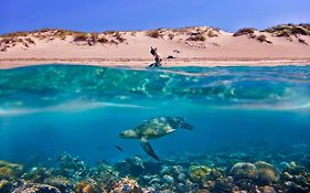 Tortuga Dafni Bay Villas Diver'S Paradise By 